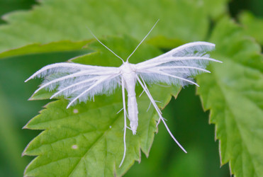 Similar image 1269848