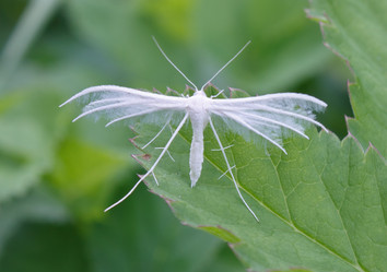 Similar image 1269849