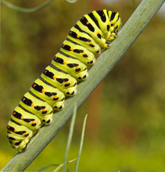 Similar image 1269852