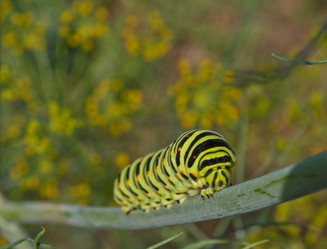 Similar image 1269853