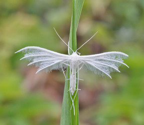 Similar image 1269854