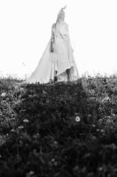 Similar image 1270931