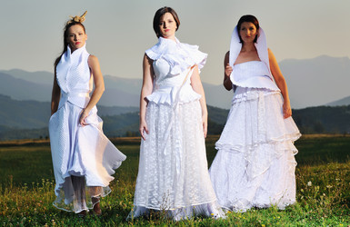 Similar image 1270937