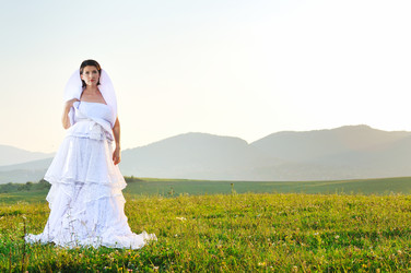 Similar image 1270971