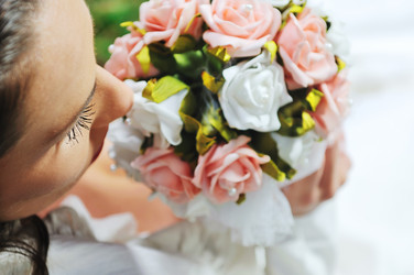 Similar image 1271034