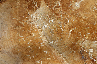 Similar image 1271142