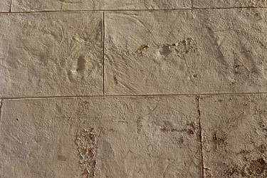 Similar image 1271172