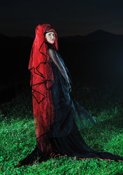 Similar image 1271278