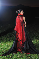 Similar image 1271295