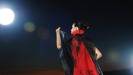 Similar image 1271324