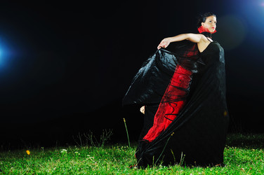 Similar image 1271358