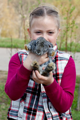 Similar image 1272005