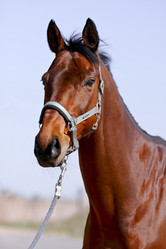 Similar image 1272064