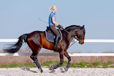 Similar image 1272065