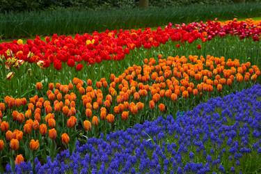 Similar image 1272104