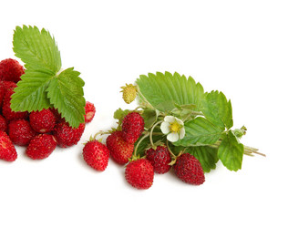 Similar image 1272136