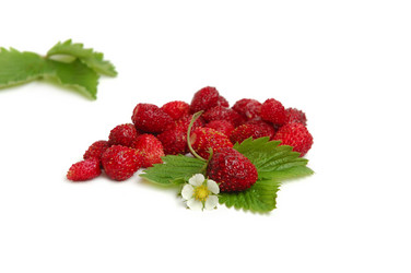 Similar image 1272138