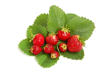 Similar image 1272150