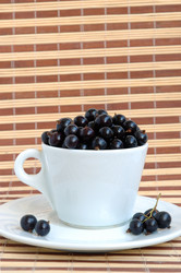 Similar image 1272155