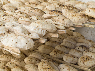 Similar image 1272183