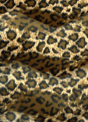 Similar image 1272224