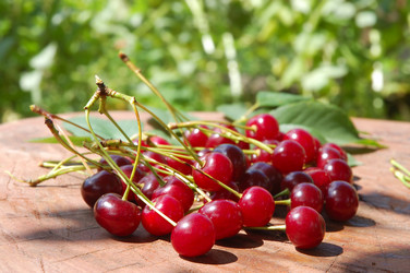 Similar image 1272246