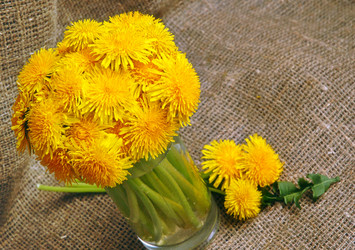 Similar image 1272275