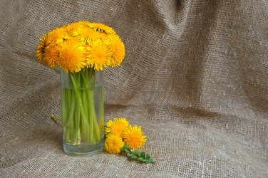 Similar image 1272283