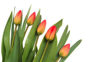 Similar image 1272306