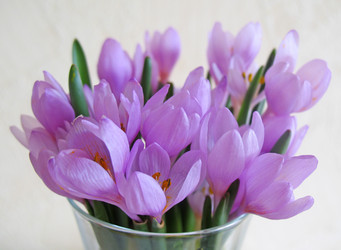 Similar image 1272310