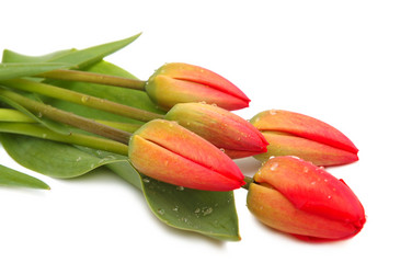 Similar image 1272311