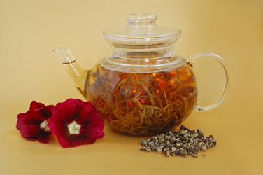 Similar image 1272329