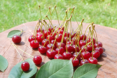 Similar image 1272341