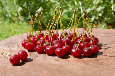 Similar image 1272342