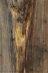 Similar image 1272344