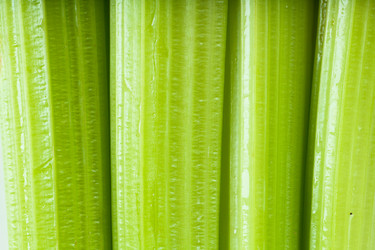 Similar image 1272358