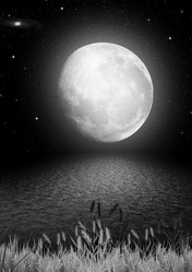 Similar image 1272418