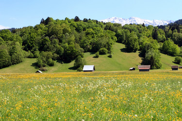 Similar image 1272440