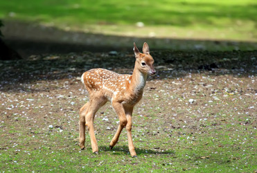 Similar image 1272479