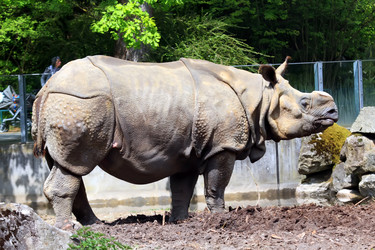 Similar image 1272480