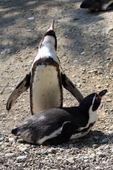 Similar image 1272483