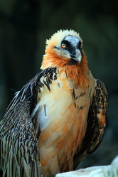 Similar image 1272485