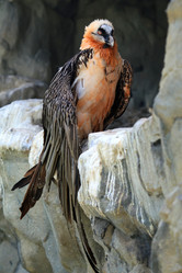 Similar image 1272497