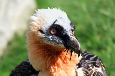 Similar image 1272498