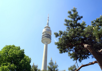 Similar image 1272503