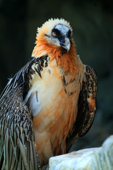 Similar image 1272512