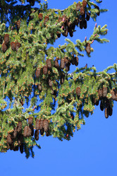 Similar image 1272523