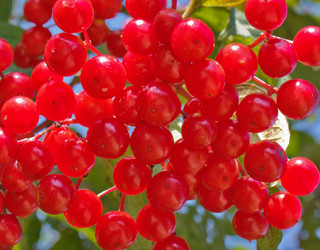 Similar image 1272609