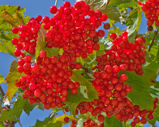 Similar image 1272612