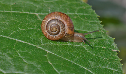 Similar image 1272617